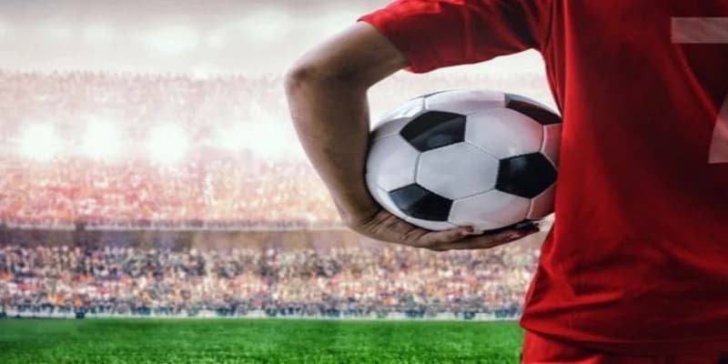 Tỷ lệ cá cược bóng đá Euro các loại hay gặp