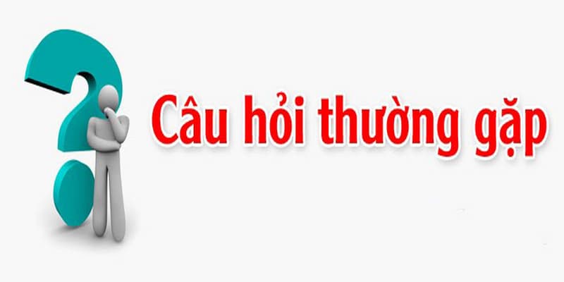 Câu hỏi thường gặp phổ biến